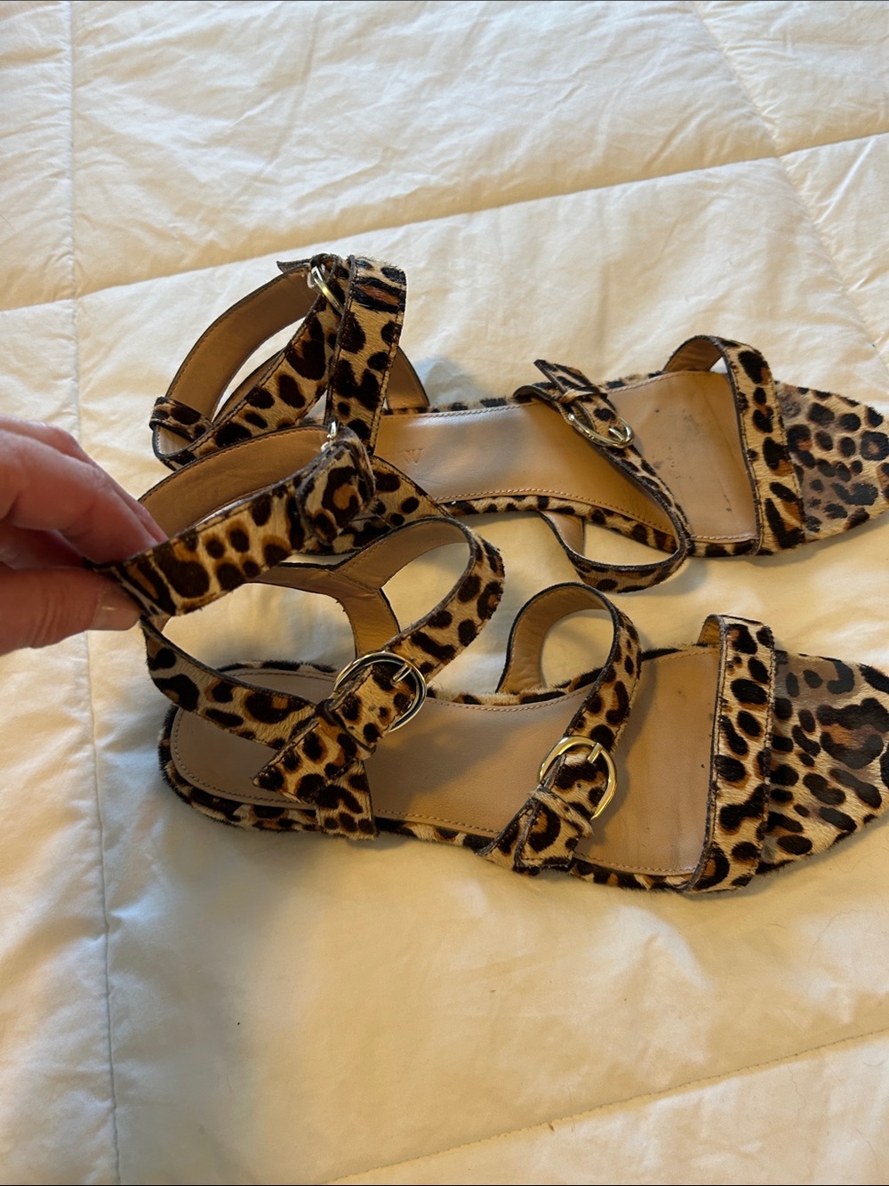 J. Crew Leopard Print Buckle Sandals in Tan and Black